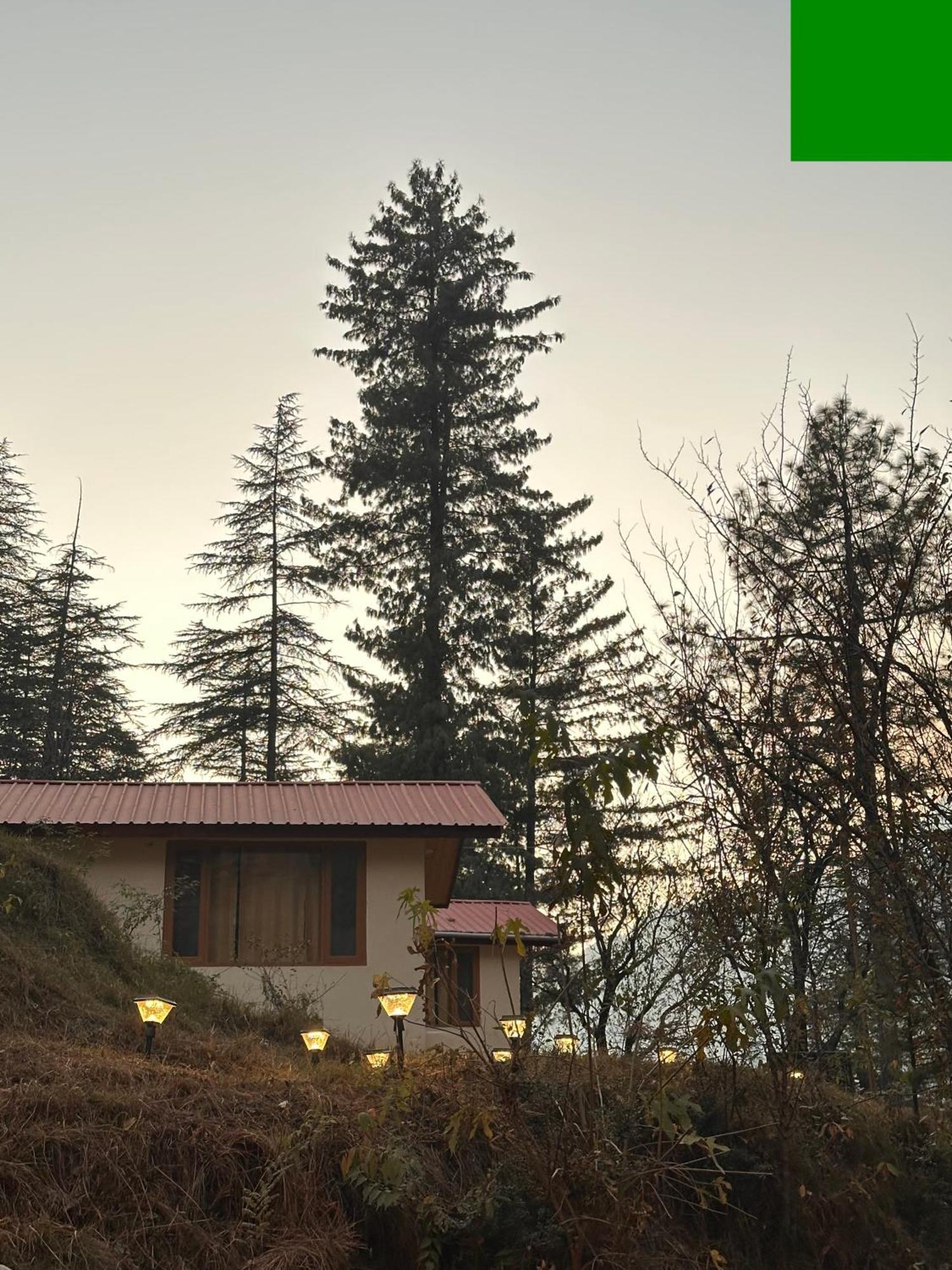 Ahava Kasol Riverside Cafe And Cottages Экстерьер фото